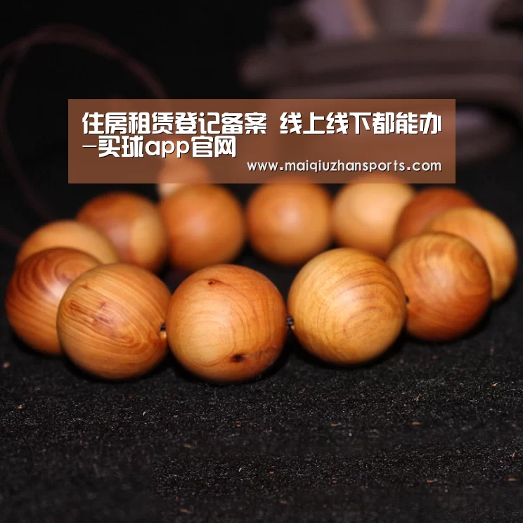 住房租赁登记备案 线上线下都能办-买球app官网(图1) 买球app官网app