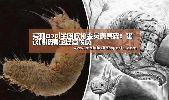 买球app|全国政协委员黄其森:建议降低房企经营税负(图1) 买球app官网
