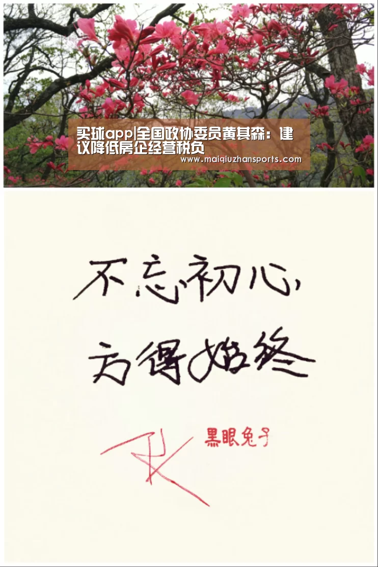 买球app|全国政协委员黄其森:建议降低房企经营税负(图4) 买球app